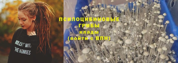 соль ск Бугульма